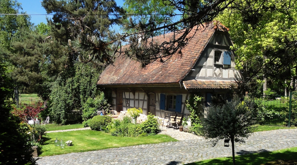 This building is indexed in the Base Mérimée, a database of architectural heritage maintained by the French Ministry of Culture, under the reference IA67005121 .