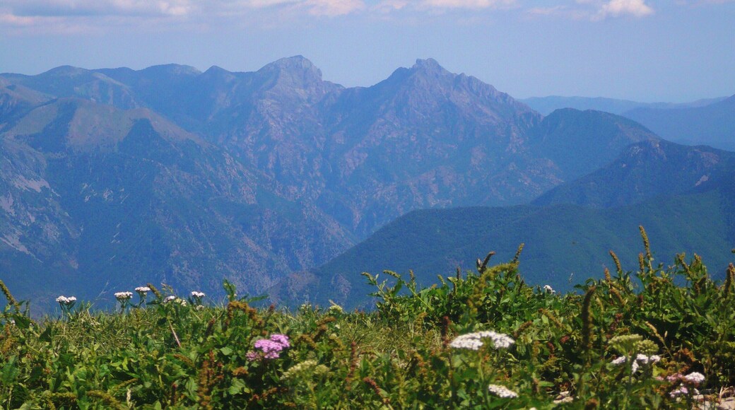Pietravecchia from summit of Mt. Ventabren