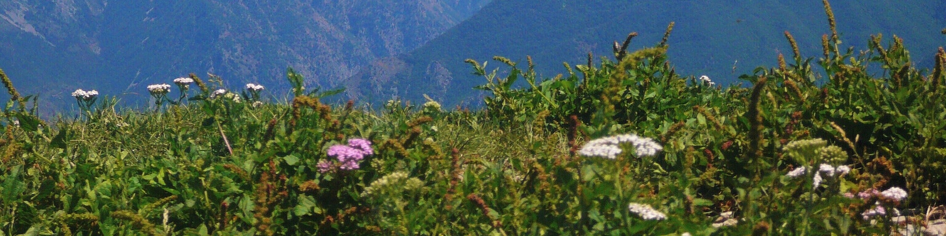 Pietravecchia from summit of Mt. Ventabren