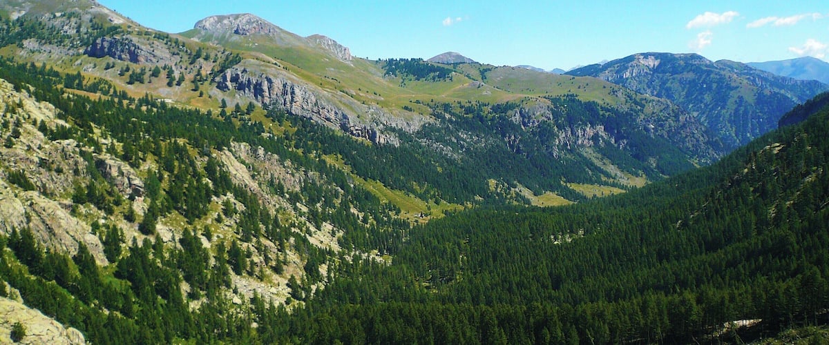 A mountainous landscape with dense forests and rocky terrain.