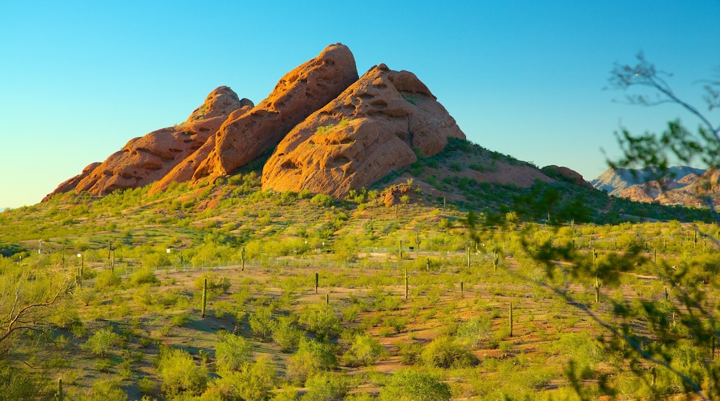 Hole in the Rock showing desert views and mountains