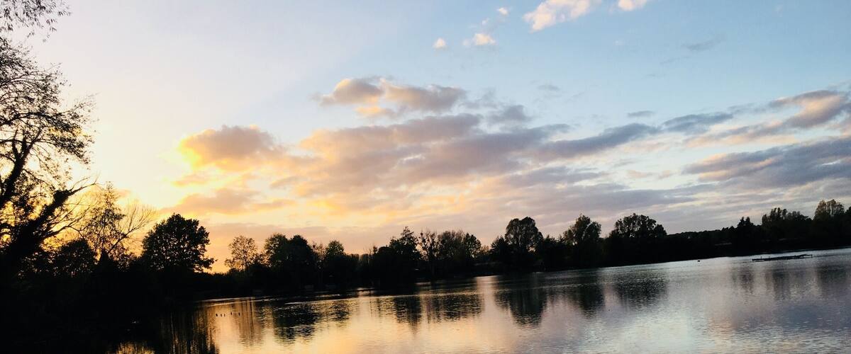 A calm lake with reflections of trees and a sunset sky.