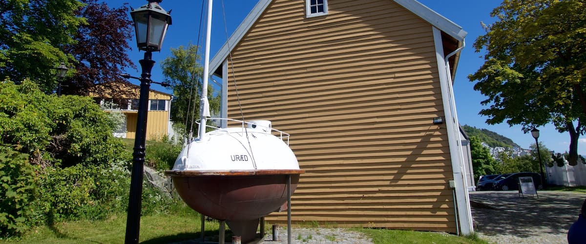 Museum van Ålesund