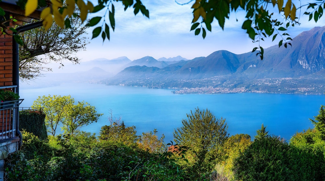 ๋ก์ ๋ณผํค์๋
ธ