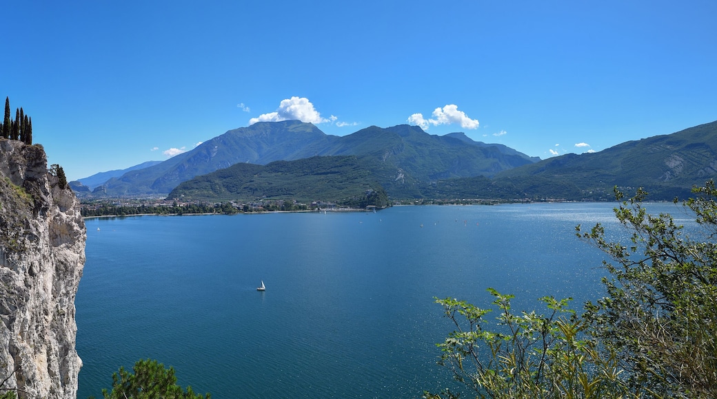 ๋ก์ ๋ณผํค์๋
ธ