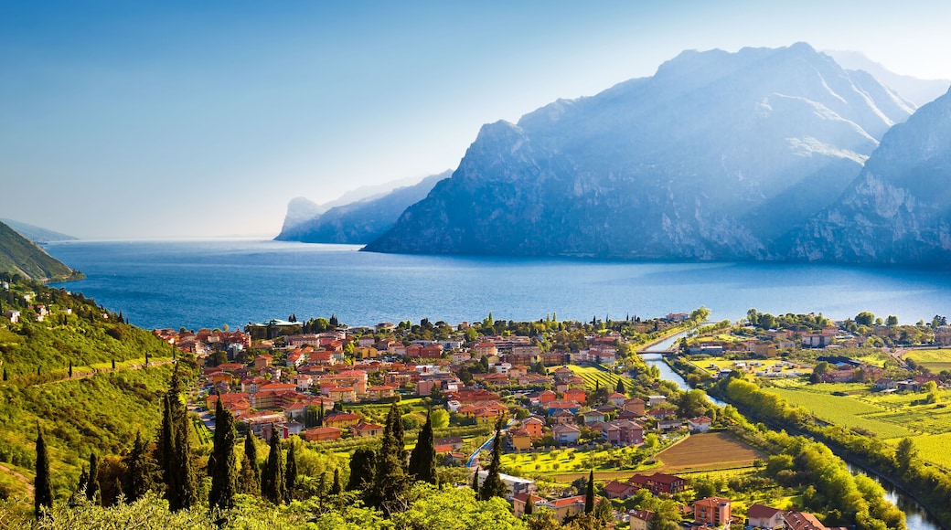 ๋ก์ ๋ณผํค์๋
ธ