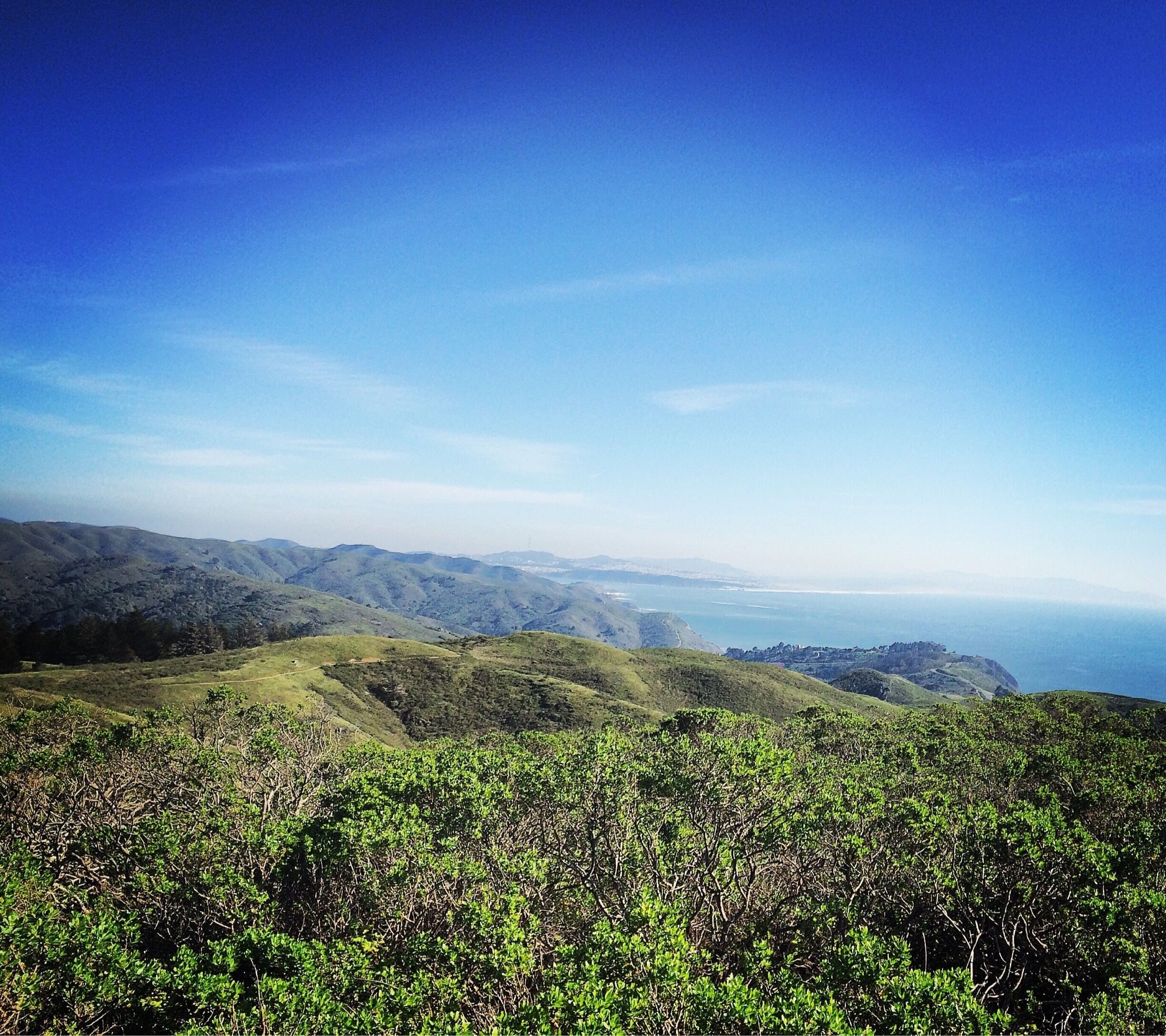 Above the ground enjoying west coast fresh air and breathtaking view #AquaTrove