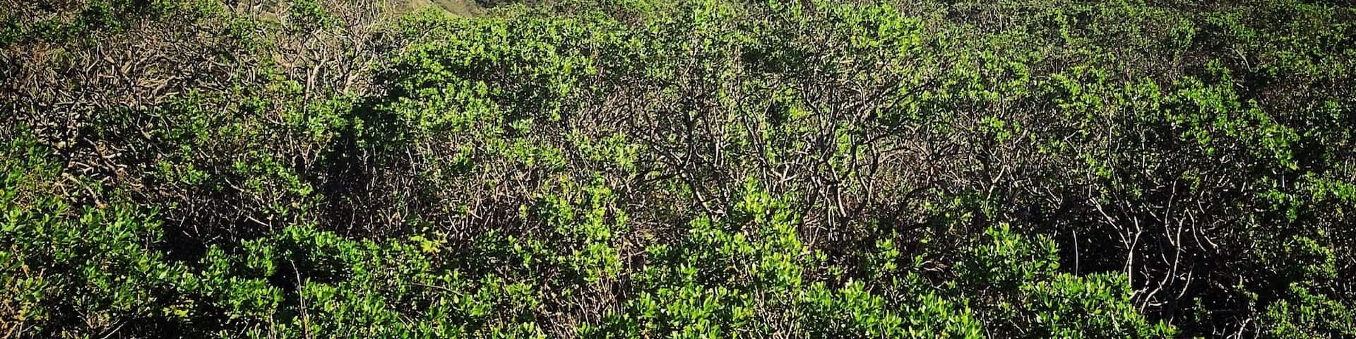 Above the ground enjoying west coast fresh air and breathtaking view #AquaTrove