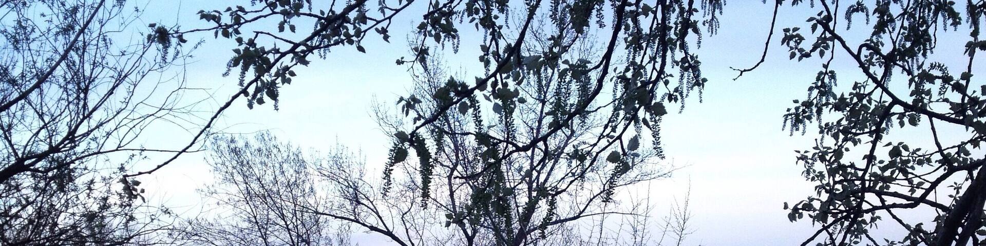 beautiful place with lots of small islands