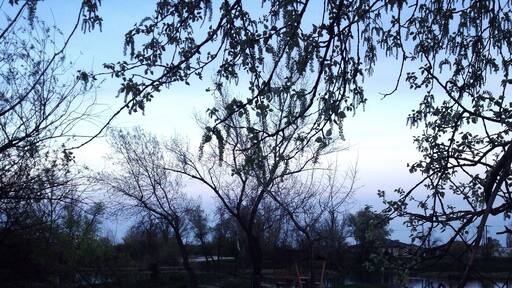 beautiful place with lots of small islands