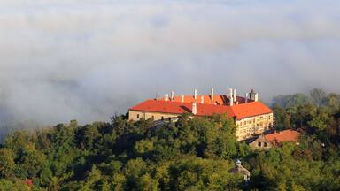 Un edificio histórico con techo rojo rodeado de un bosque frondoso y nubes brumosas.