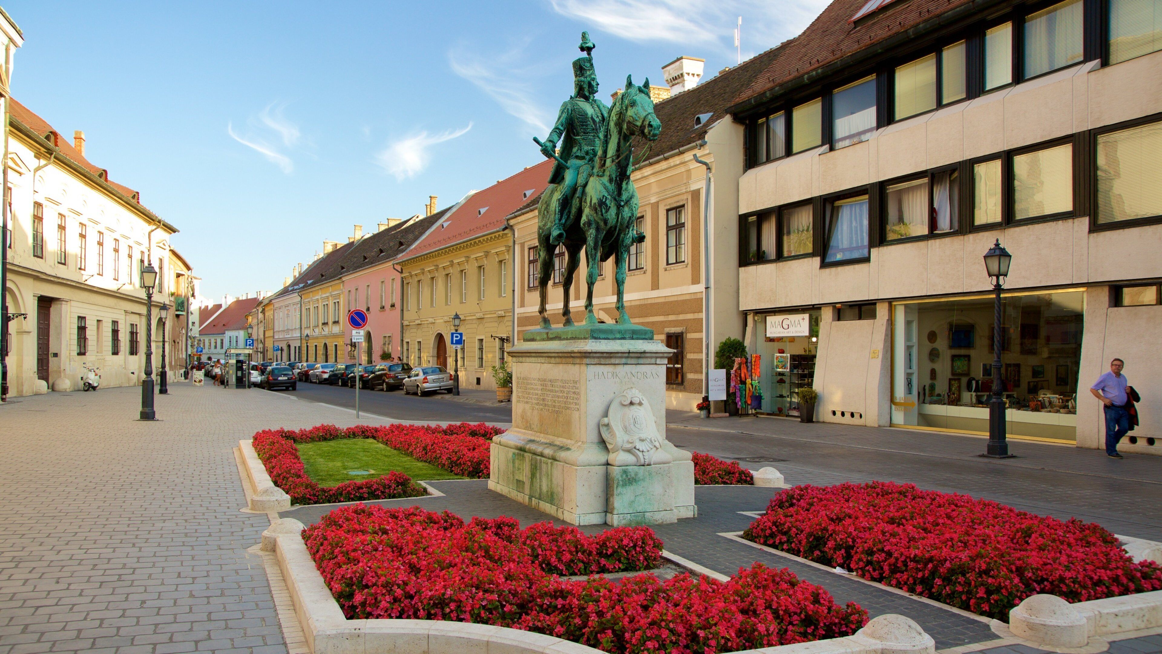 Budapest som inkluderar gatuliv, en staty eller skulptur och blommor