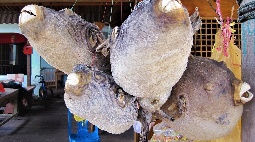 Salted Puffer Fish anyone? - This was among the selection of seafood on sale at the Kampung Nelayan Air Masin (translated from Malay it means: Salty Water Fishermen's Village) located in Kukup which is in the southern most state of Malaysia, Johor. The Tanjung (cape) Piai National Park a few minutes away from Kukup is also the southern most tip of the Asian continent. http://wp.me/p7CVI8-122