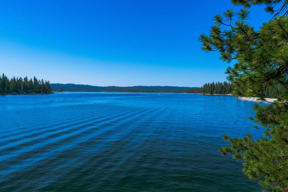 Een rustig meer met een heldere blauwe lucht, omgeven door dichte bossen en een verre oever.