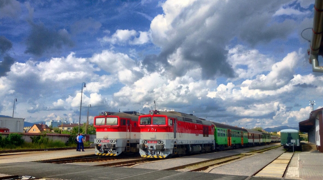 Train station at Prievidza.
There are direct connections to Bratislava, which many people use to visit both the castle and the zoo in Bojnice.