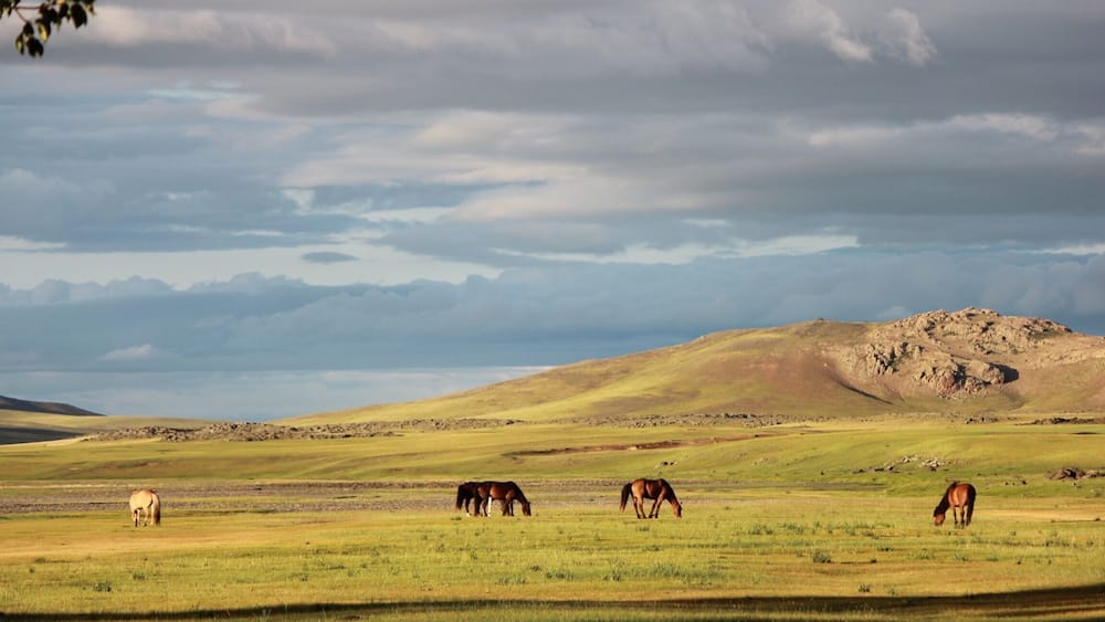 Wonderful landscape from Mongolia during a horse trip.