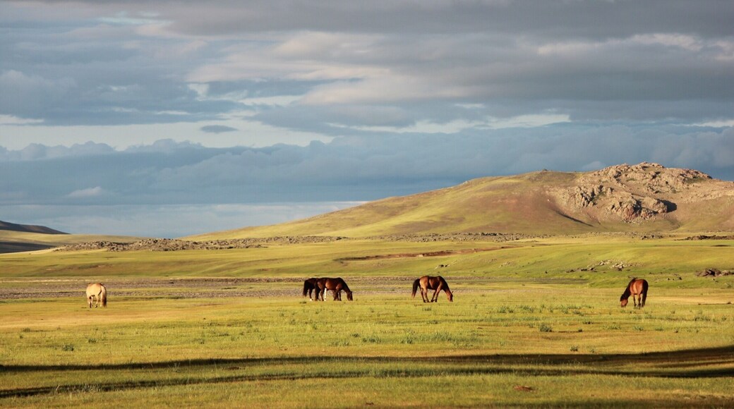 Wonderful landscape from Mongolia during a horse trip.