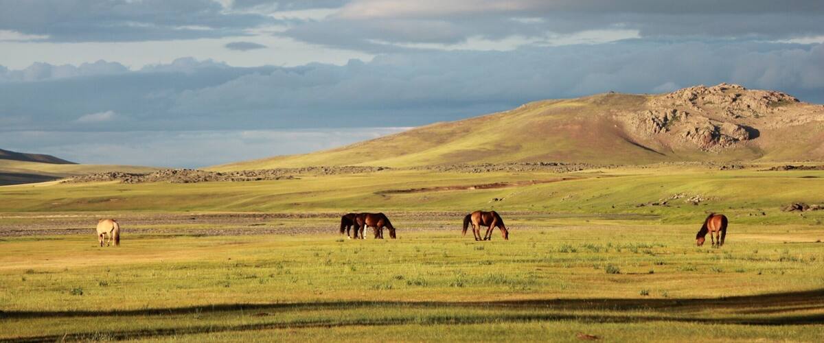 Wonderful landscape from Mongolia during a horse trip.