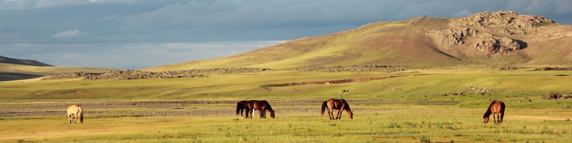 Wonderful landscape from Mongolia during a horse trip.