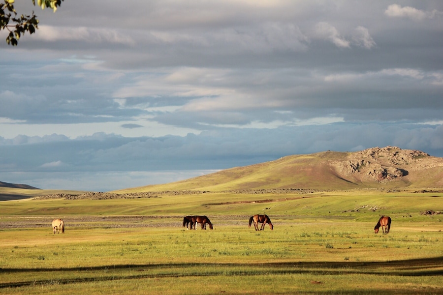 Wonderful landscape from Mongolia during a horse trip.
