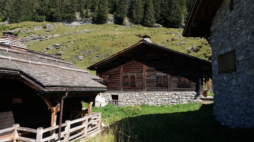 ๋ ๋ฆฐ๋ค๋ 