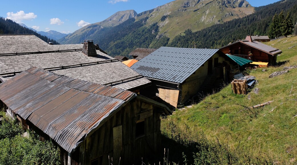 ๋ ๋ฆฐ๋ค๋ 