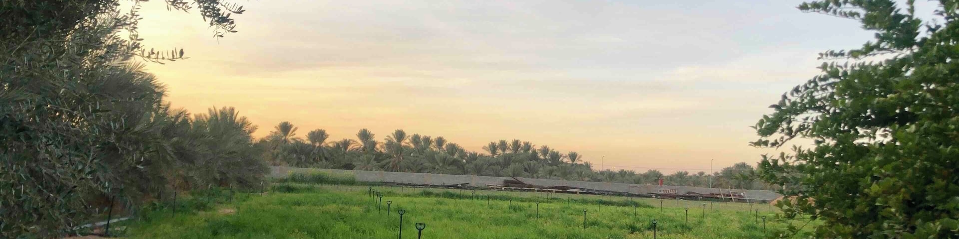 A grassy field with a fence, trees, and a distant view of a train.