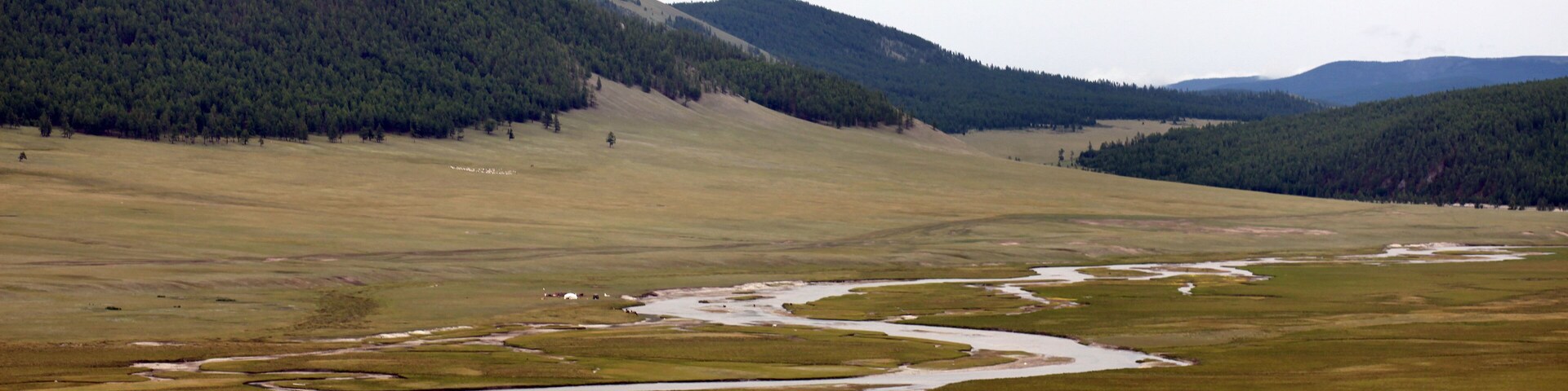 A river winding through a grassy valley with forested hills in the background.