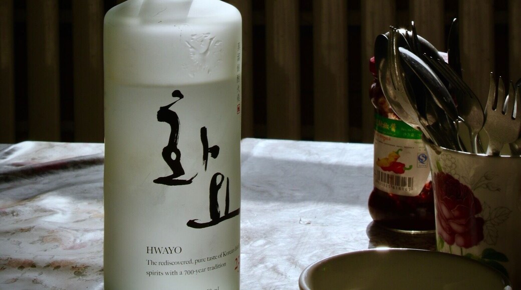 In a wayside canteen , on the road to Ulgii, Mongolia. A quick lunch stop. Usually dumplings and our own shot of Korean Soju ( rice wine ) to keep warm . Temperatures of -30C.