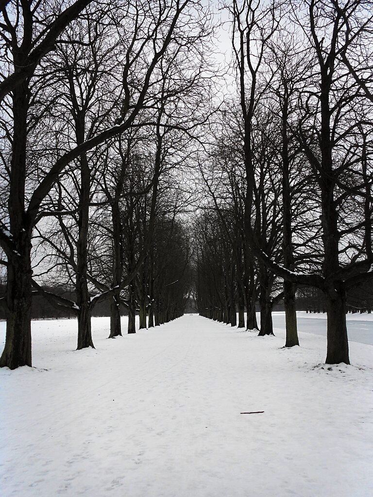 Decksteiner Weiher im Winter