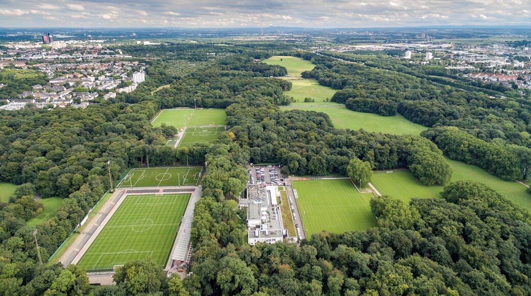 Der Stadtwald ist ein Erholungsgebiet in Köln. Durch den angelegten Park führt eine angesagte Laufstrecke.