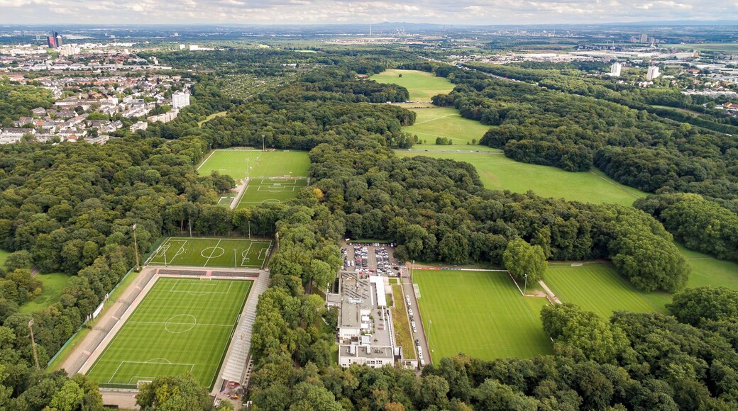 Der Stadtwald ist ein Erholungsgebiet in Köln. Durch den angelegten Park führt eine angesagte Laufstrecke.