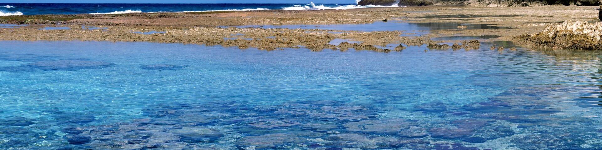 Hikutavake showing coral