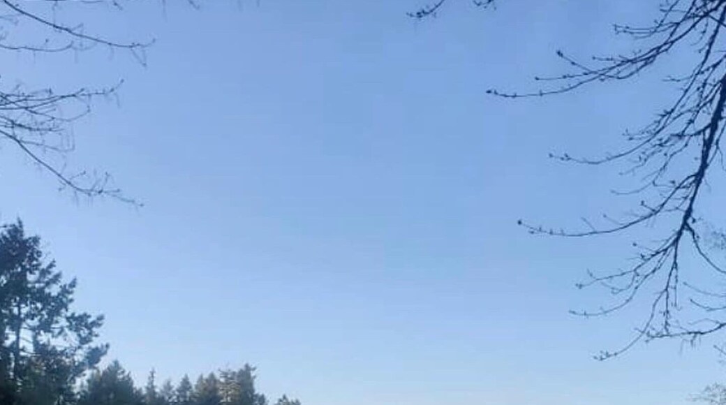 Amazing place for beach relaxing stress free 101 love it plus u can’t dig some clams and many mores.,)