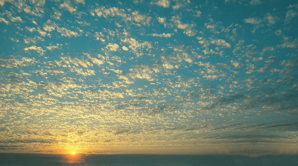 Kalahari sky scene, South Africa