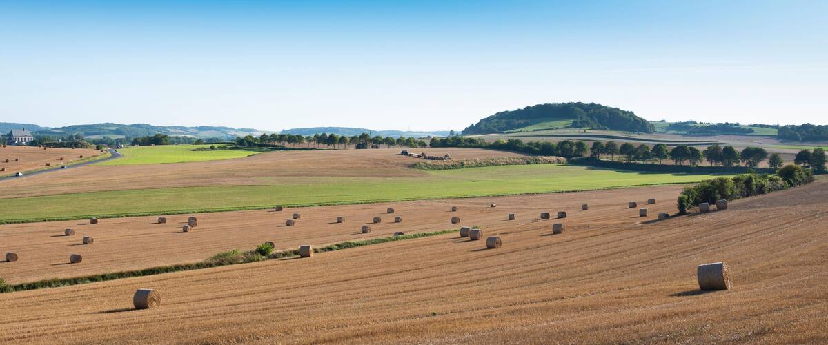 A rural landscape with fields, hay bales, a church, and rolling hills.