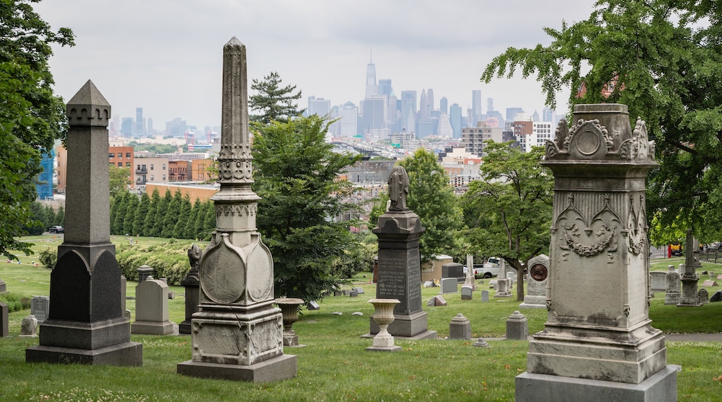 Green-Wood Cemetery showing a cemetery