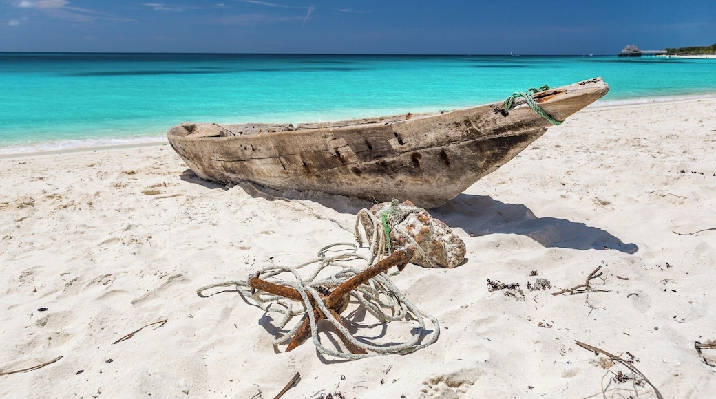 I always in search for white sand and blue water beaches and I think I found one more such place . Kendwa rock beach in north of Zanzibar . Not too many people, blue water and white sand . #beaches #beach #africa #zanzibar #beachtips #bvsblue