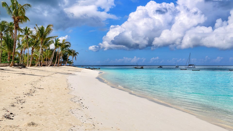 A beach with white sand, palm trees, and boats in the water.