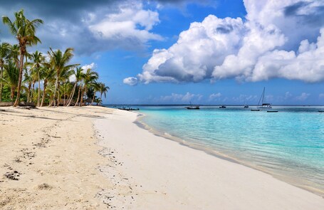 Ein Strand mit weißem Sand, Palmen und Booten im Wasser.
