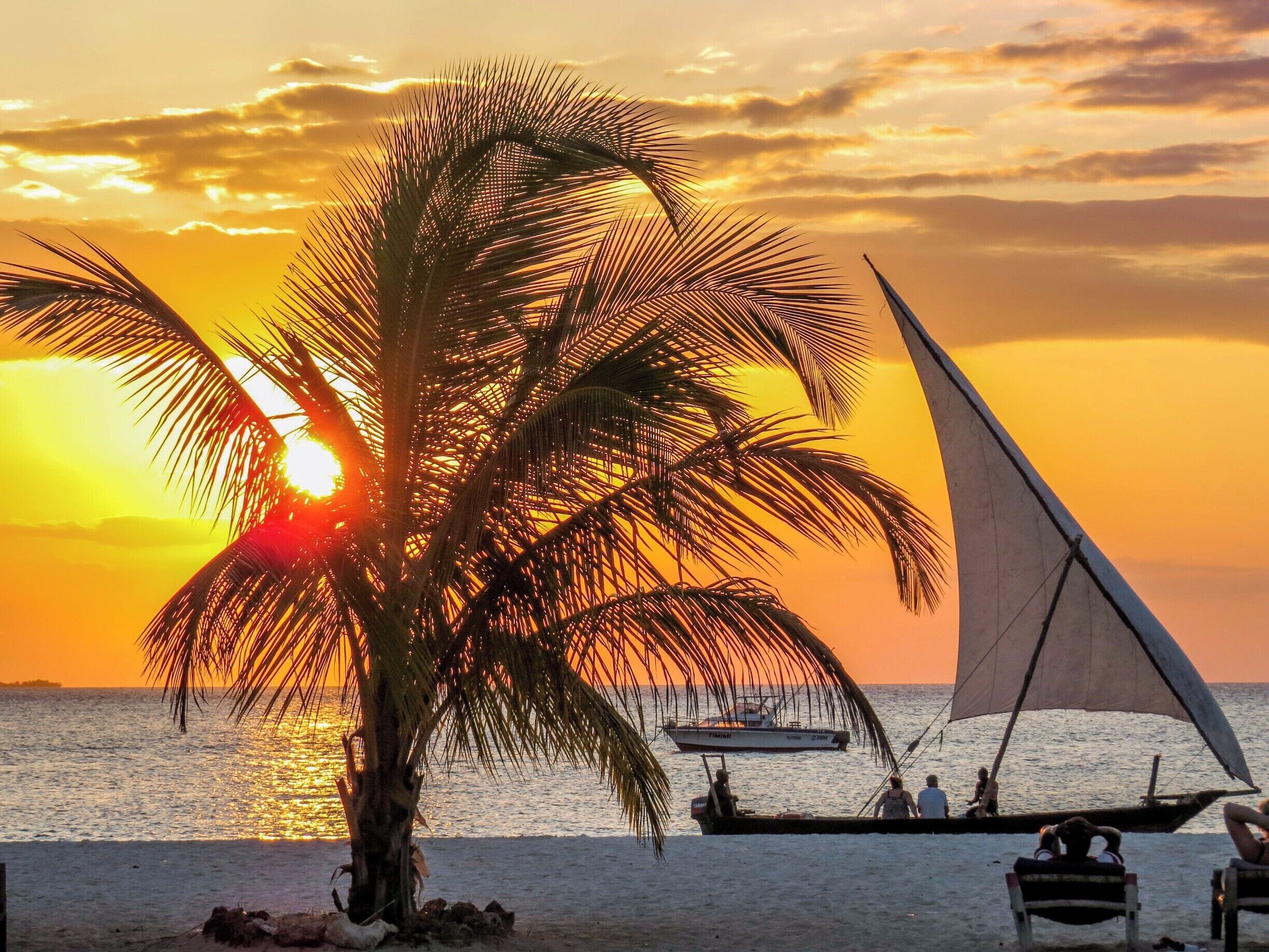 A sunset over a beach with palm trees and a sailboat.