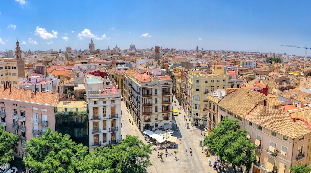 Aerial overview of the old city (Ciutat Vella) of Valencia, Spain