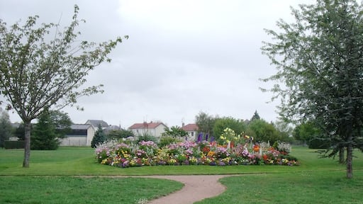Ardentes - parterre de fleurs