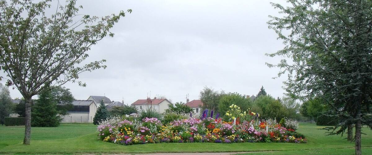 A garden with a variety of flowers and a winding path.