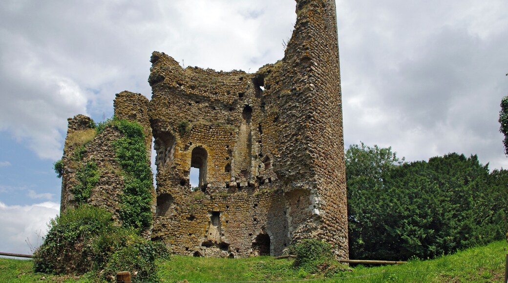 Fréteval (Loir-et-Cher) Le château féodal de Fréteval. Le donjon. Il est construit au point culminant du plateau qui domine le Loir. Le donjon est directement assis sur le sol naturel. La construction du donjon est voisine de 1090 et la date de destruction du donjon proche de 1428-1429. Un examen approfondi montre que le donjon a été construit d'un seul jet. Architecture du donjon. Innovation pour l'époque, le donjon est cylindrique. Le diamètre à la base est de 15,60 mètres. Sa hauteur de 27,50 mètres, y compris 1,50 mètre de fondations. Les matériaux sont tous d'origine locale ou proche : silex, poudingue, grison*, craie tuffeau et calcaire de Beauce. Le liant est un mortier de chaux. La couverture était vraisemblablement de bardeaux de bois à l'origine, puis de tuiles. La muraille est en maçonnerie fourrée*. La construction a été réalisée à l'aide d'échafaudages successifs posés sur des boulins* engagés dans des trous dans la murailles. On observe seize rangée de trous de boulins espacées d'environ 1,10 mètre. L'alignement vertical des trous de boulins amène une faiblesse de la muraille. Le donjon comprend quatre niveaux: Le rez de chaussée, complètement aveugle avec un sol de mortier posé sur le sol naturel. Le premier étage avec la porte d'accès, éclairé par quatre fenêtres. Le premier étage copossède une cheminée murale et un puits. Le deuxième étage, avec deux fenêtres qui subsistent. Une cheminée murale. Une galerie externe ceinturait cet étage qui devait être l'étage seigneurial. Une porte externe permet l'accès à la galerie. Le troisième étage, avec quatre fenêtres qui donnaient approximativement, comme le premier étage, sur les quatre points cardinaux. Vers le nord-ouest, la fenêtre a été en partie murée. Une partie du troisième étage a été détruite en 1982, emportant les vestiges d'une fenêtre. Les fouilles de la partie basse du donjon ont permis de mettre en évidence : un remplissage d'argile sur 4 m d'épaisseur pour une raison inconnue, des couches liées à une activité de cuisine sur la couche d'argile, des couches résultant de la destruction de la toiture avec présence de tuiles. grison : Le grison est une roche dure constituée d'un agrégat de cailloux siliceux soudés par un ciment ferrugineux donnant une couleur brun-rouille à l'ensemble. maçonnerie fourrée : cad constituée de deux murs montés en pierres entre lesquels était versé un mortier, voir simplement de la terre. boulins : pièces de bois horizontales engagées dans des trous du murs et sur lesquels on pose les planches de l'échafaudage. (D'après présentation sur place de Claude Leymarios, archéologue) Castle Fréteval. The keep was built on the highest point of the plateau overlooking the Loir river. Construction of the tower is around 1090 and the date of destruction of the dungeon near 1428-1429. Innovation for the time, the keep is cylindrical. The base diameter is 15.60 meters. Its height of 27.50 meters, including 1.50 meters of foundations. The materials were taken from the nearby region : Silex puddingstone, limestone. The mortar is a lime mortar. the wall is filled masonry. The roof probably conical was made with tiles. The Dungeon consists of four levels.