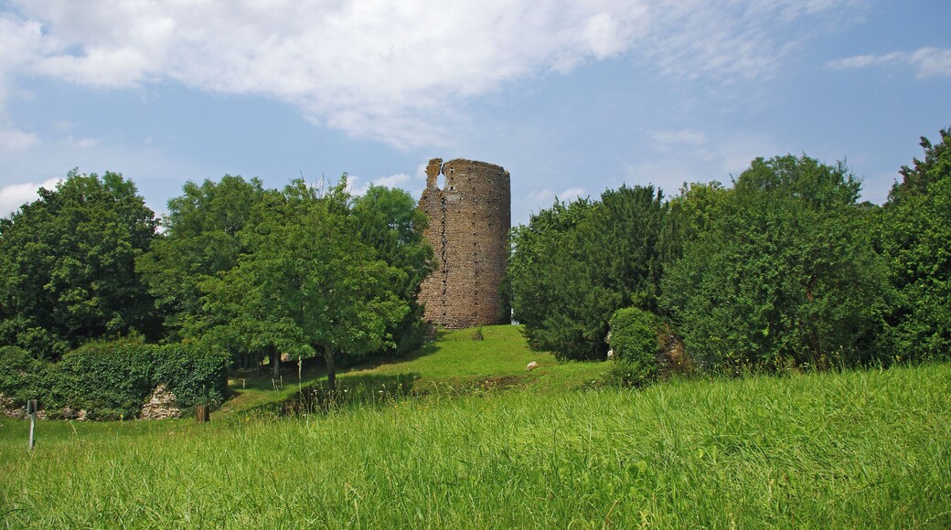 Fréteval (Loir-et-Cher) Le château féodal de Fréteval. Le donjon. Il est construit au point culminant du plateau qui domine le Loir. Le donjon est directement assis sur le sol naturel. La construction du donjon est voisine de 1090 et la date de destruction du donjon proche de 1428-1429. Un examen approfondi montre que le donjon a été construit d'un seul jet. Architecture du donjon. Innovation pour l'époque, le donjon est cylindrique. Le diamètre à la base est de 15,60 mètres. Sa hauteur de 27,50 mètres, y compris 1,50 mètre de fondations. Les matériaux sont tous d'origine locale ou proche : silex, poudingue, grison*, craie tuffeau et calcaire de Beauce. Le liant est un mortier de chaux. La couverture était vraisemblablement de bardeaux de bois à l'origine, puis de tuiles. La muraille est en maçonnerie fourrée*. La construction a été réalisée à l'aide d'échafaudages successifs posés sur des boulins* engagés dans des trous dans la murailles. On observe seize rangée de trous de boulins espacées d'environ 1,10 mètre. L'alignement vertical des trous de boulins amène une faiblesse de la muraille. Le donjon comprend quatre niveaux: Le rez de chaussée, complètement aveugle avec un sol de mortier posé sur le sol naturel. Le premier étage avec la porte d'accès, éclairé par quatre fenêtres. Le premier étage copossède une cheminée murale et un puits. Le deuxième étage, avec deux fenêtres qui subsistent. Une cheminée murale. Une galerie externe ceinturait cet étage qui devait être l'étage seigneurial. Une porte externe permet l'accès à la galerie. Le troisième étage, avec quatre fenêtres qui donnaient approximativement, comme le premier étage, sur les quatre points cardinaux. Vers le nord-ouest, la fenêtre a été en partie murée. Une partie du troisième étage a été détruite en 1982, emportant les vestiges d'une fenêtre. Les fouilles de la partie basse du donjon ont permis de mettre en évidence : un remplissage d'argile sur 4 m d'épaisseur pour une raison inconnue, des couches liées à une activité de cuisine sur la couche d'argile, des couches résultant de la destruction de la toiture avec présence de tuiles. grison : Le grison est une roche dure constituée d'un agrégat de cailloux siliceux soudés par un ciment ferrugineux donnant une couleur brun-rouille à l'ensemble. maçonnerie fourrée : cad constituée de deux murs montés en pierres entre lesquels était versé un mortier, voir simplement de la terre. boulins : pièces de bois horizontales engagées dans des trous du murs et sur lesquels on pose les planches de l'échafaudage. (D'après présentation sur place de Claude Leymarios, archéologue) Castle Fréteval. The keep was built on the highest point of the plateau overlooking the Loir river. Construction of the tower is around 1090 and the date of destruction of the dungeon near 1428-1429. Innovation for the time, the keep is cylindrical. The base diameter is 15.60 meters. Its height of 27.50 meters, including 1.50 meters of foundations. The materials were taken from the nearby region : Silex puddingstone, limestone. The mortar is a lime mortar. the wall is filled masonry. The roof probably conical was made with tiles. The Dungeon consists of four levels.