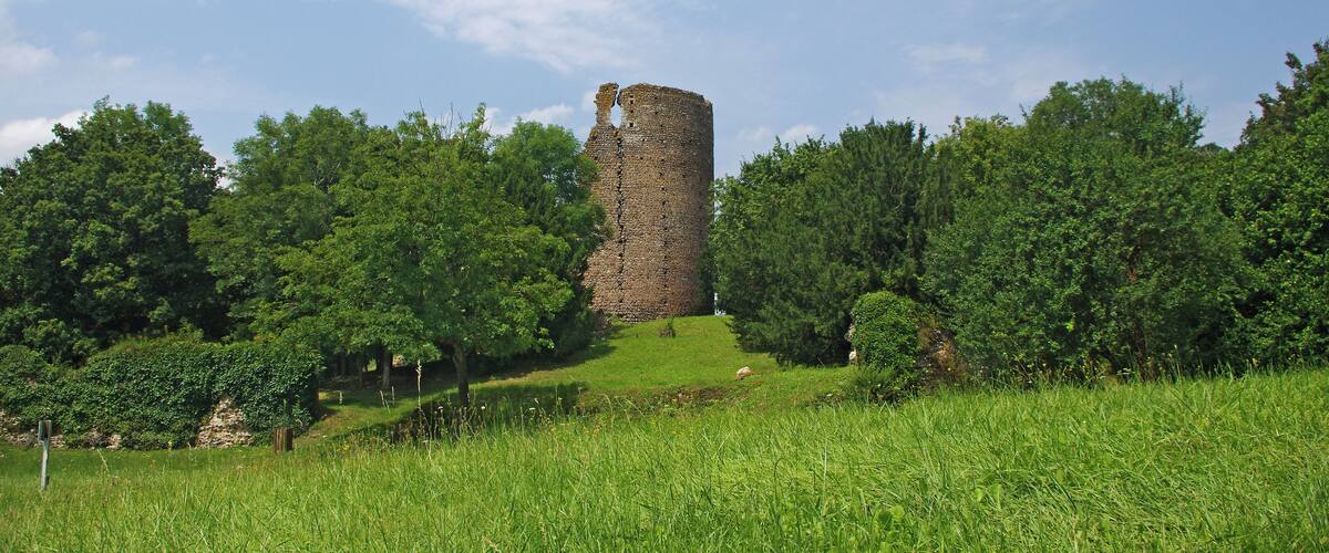 Fréteval (Loir-et-Cher) Le château féodal de Fréteval. Le donjon. Il est construit au point culminant du plateau qui domine le Loir. Le donjon est directement assis sur le sol naturel. La construction du donjon est voisine de 1090 et la date de destruction du donjon proche de 1428-1429. Un examen approfondi montre que le donjon a été construit d'un seul jet. Architecture du donjon. Innovation pour l'époque, le donjon est cylindrique. Le diamètre à la base est de 15,60 mètres. Sa hauteur de 27,50 mètres, y compris 1,50 mètre de fondations. Les matériaux sont tous d'origine locale ou proche : silex, poudingue, grison*, craie tuffeau et calcaire de Beauce. Le liant est un mortier de chaux. La couverture était vraisemblablement de bardeaux de bois à l'origine, puis de tuiles. La muraille est en maçonnerie fourrée*. La construction a été réalisée à l'aide d'échafaudages successifs posés sur des boulins* engagés dans des trous dans la murailles. On observe seize rangée de trous de boulins espacées d'environ 1,10 mètre. L'alignement vertical des trous de boulins amène une faiblesse de la muraille. Le donjon comprend quatre niveaux: Le rez de chaussée, complètement aveugle avec un sol de mortier posé sur le sol naturel. Le premier étage avec la porte d'accès, éclairé par quatre fenêtres. Le premier étage copossède une cheminée murale et un puits. Le deuxième étage, avec deux fenêtres qui subsistent. Une cheminée murale. Une galerie externe ceinturait cet étage qui devait être l'étage seigneurial. Une porte externe permet l'accès à la galerie. Le troisième étage, avec quatre fenêtres qui donnaient approximativement, comme le premier étage, sur les quatre points cardinaux. Vers le nord-ouest, la fenêtre a été en partie murée. Une partie du troisième étage a été détruite en 1982, emportant les vestiges d'une fenêtre. Les fouilles de la partie basse du donjon ont permis de mettre en évidence : un remplissage d'argile sur 4 m d'épaisseur pour une raison inconnue, des couches liées à une activité de cuisine sur la couche d'argile, des couches résultant de la destruction de la toiture avec présence de tuiles. grison : Le grison est une roche dure constituée d'un agrégat de cailloux siliceux soudés par un ciment ferrugineux donnant une couleur brun-rouille à l'ensemble. maçonnerie fourrée : cad constituée de deux murs montés en pierres entre lesquels était versé un mortier, voir simplement de la terre. boulins : pièces de bois horizontales engagées dans des trous du murs et sur lesquels on pose les planches de l'échafaudage. (D'après présentation sur place de Claude Leymarios, archéologue) Castle Fréteval. The keep was built on the highest point of the plateau overlooking the Loir river. Construction of the tower is around 1090 and the date of destruction of the dungeon near 1428-1429. Innovation for the time, the keep is cylindrical. The base diameter is 15.60 meters. Its height of 27.50 meters, including 1.50 meters of foundations. The materials were taken from the nearby region : Silex puddingstone, limestone. The mortar is a lime mortar. the wall is filled masonry. The roof probably conical was made with tiles. The Dungeon consists of four levels.