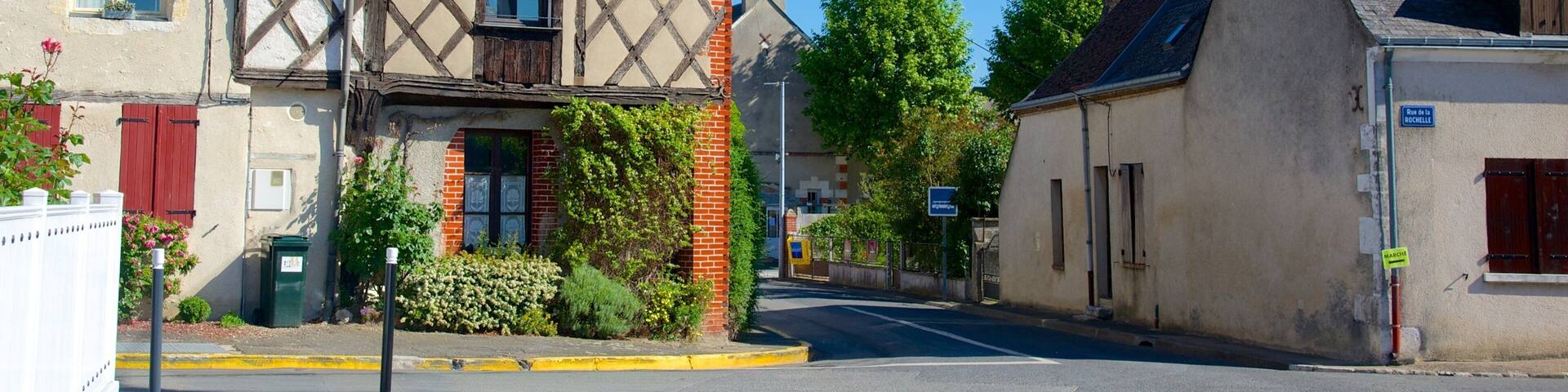 Veuves showing a small town or village and street scenes