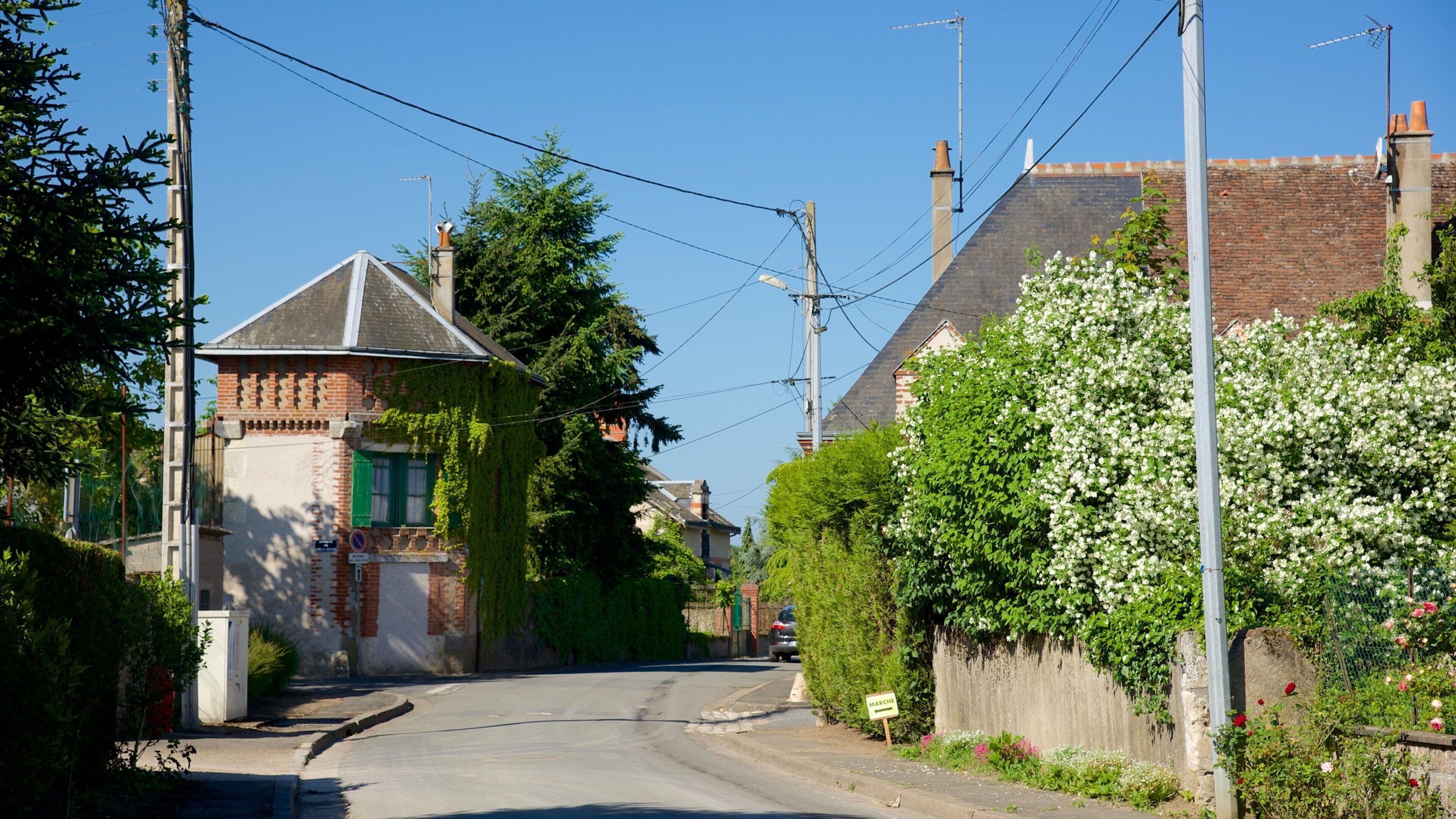 Veuves showing a small town or village and street scenes