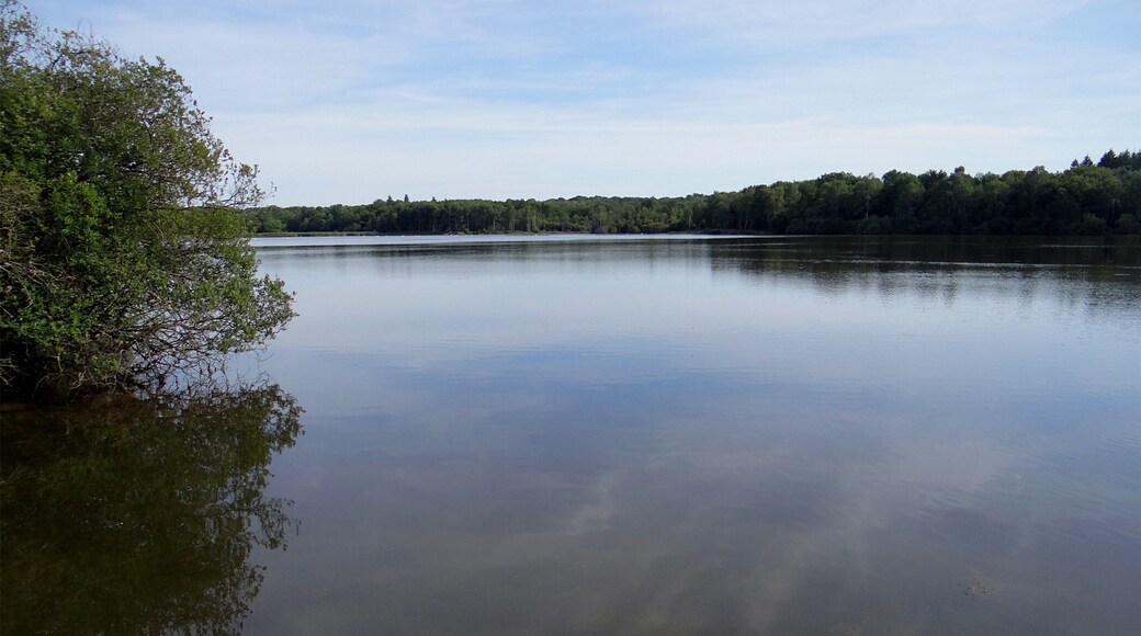 Étang de Vallas, domaine de Mont Evray, Nouan-le-Fuzelier, Loir-et-Cher, France.